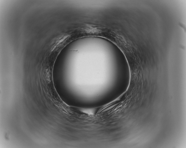 X0000098021205200804071345