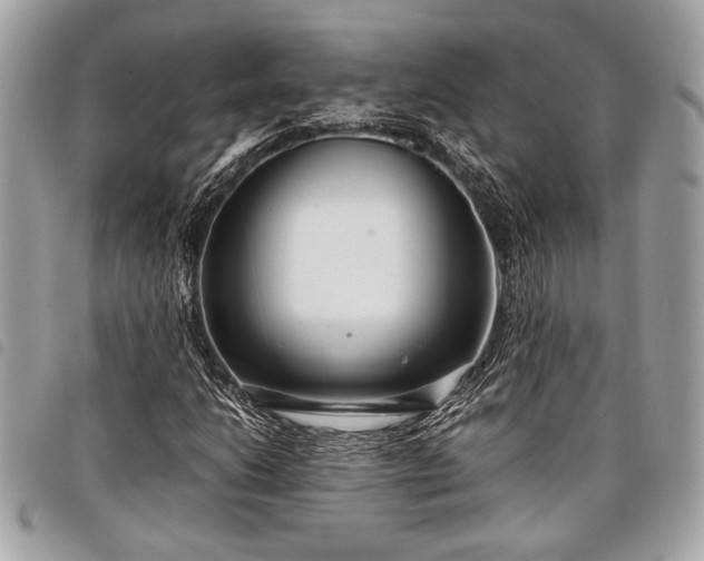 X0000098021206200804071345