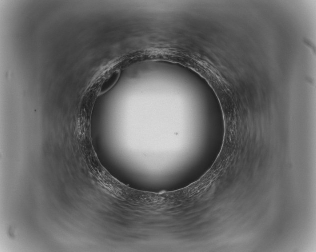 X0000098021207200804071345