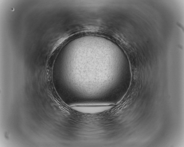 X0000098021208200804071345