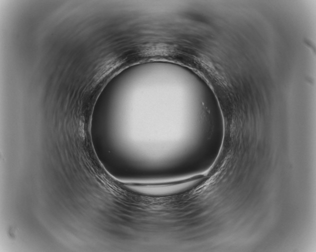 X0000098021209200804071345