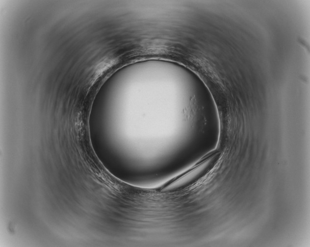 X0000098021210200804071345