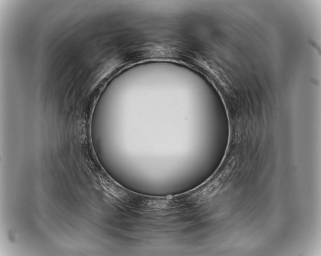 X0000098021211200804071345