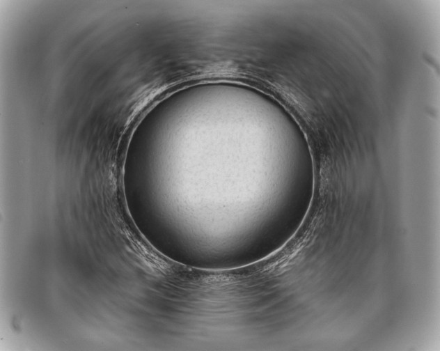 X0000098021212200804071345