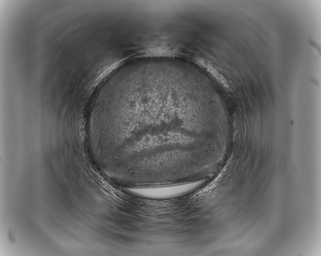 X0000098021213200804071345