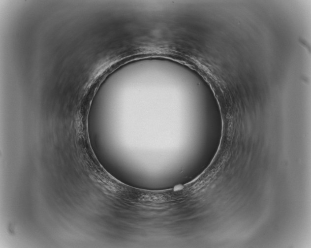 X0000098021215200804071345