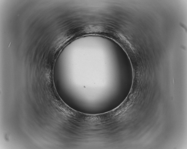 X0000098021217200804071345