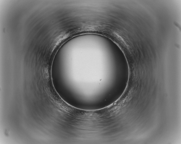 X0000098021218200804071345