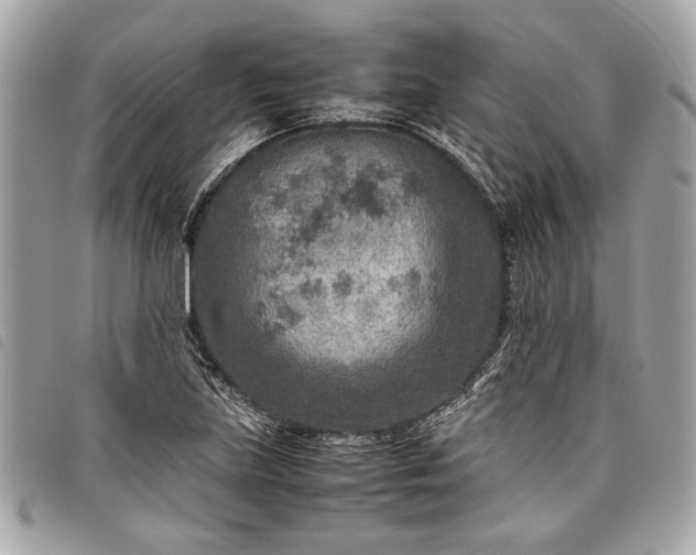 X0000098021219200804071345