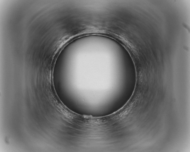 X0000098021220200804071345