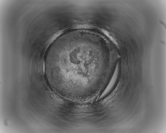 X0000098021221200804071345