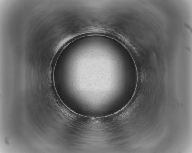 X0000098021222200804071345