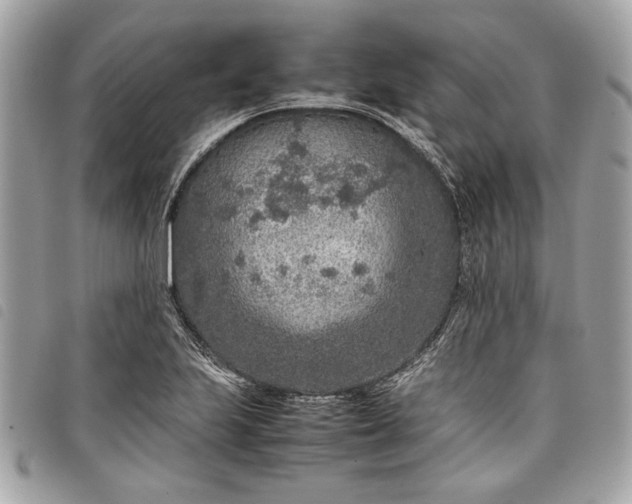 X0000098021223200804071345