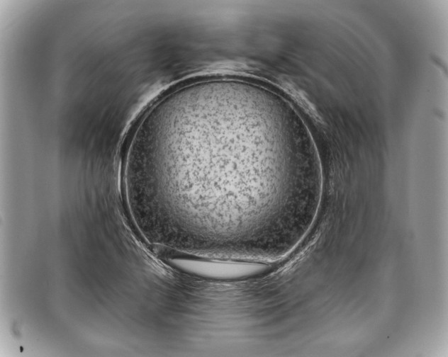 X0000098021224200804071345