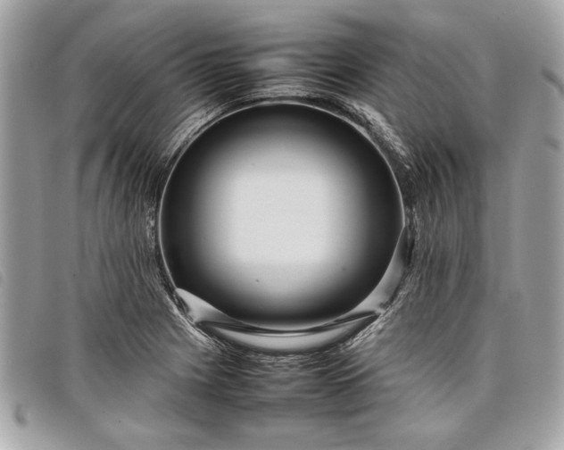 X0000098021225200804071345