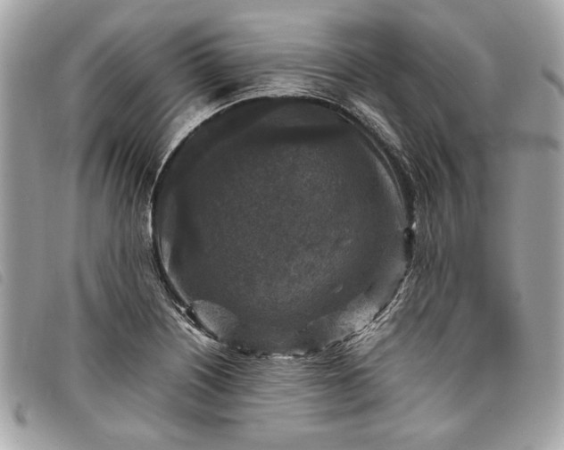 X0000098021226200804071345