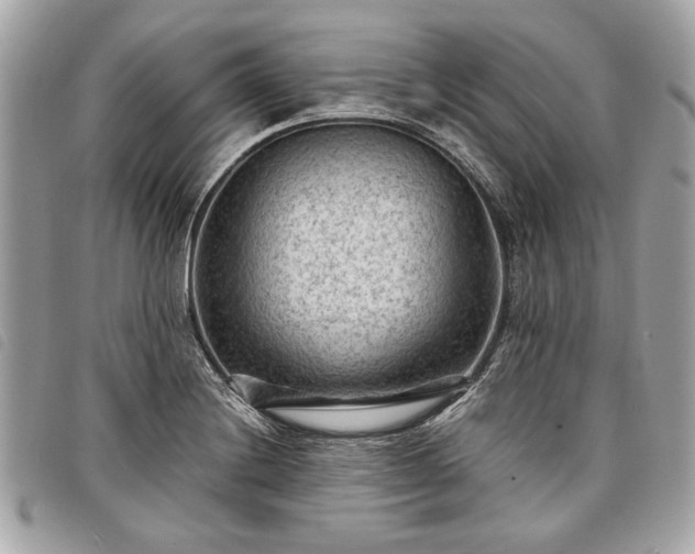 X0000098021228200804071345