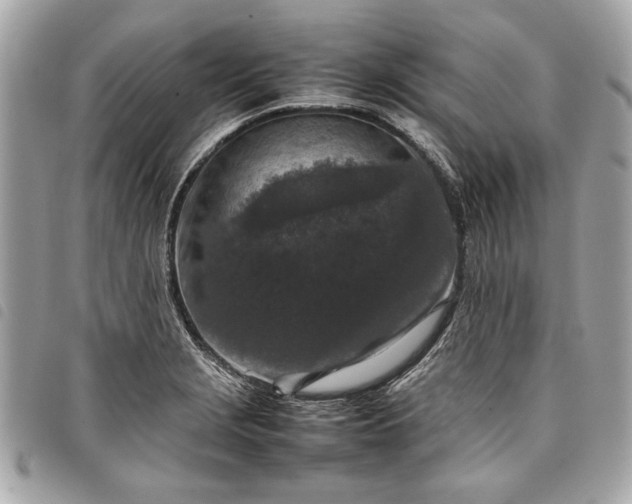 X0000098021229200804071345