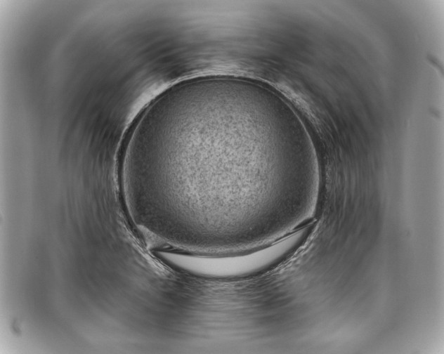 X0000098021230200804071345