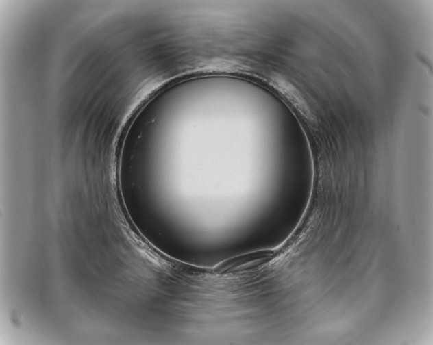 X0000098021232200804071345