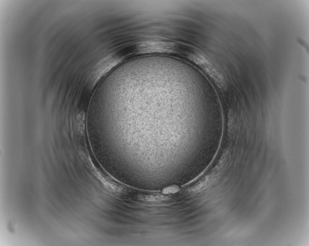 X0000098021233200804071345