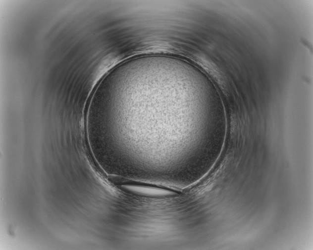 X0000098021234200804071345