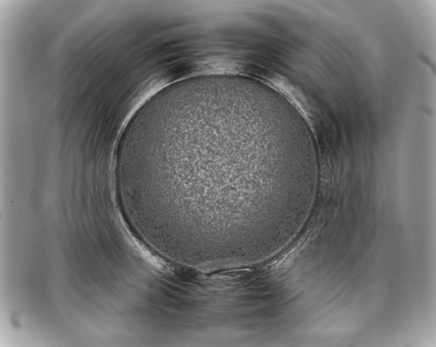 X0000098021235200804071345