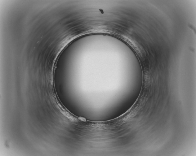 X0000098021236200804071345