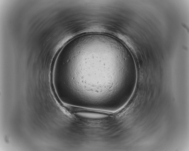 X0000098021237200804071345