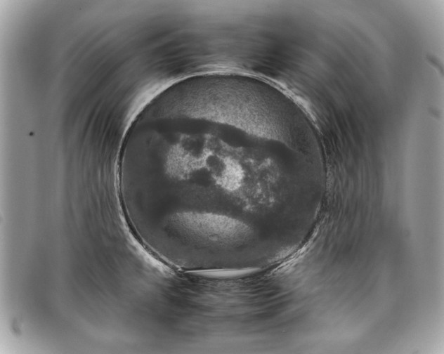 X0000098021239200804071345