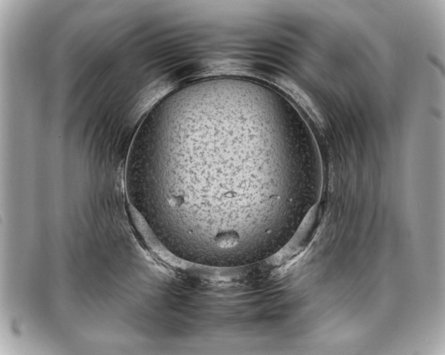 X0000098021241200804071345