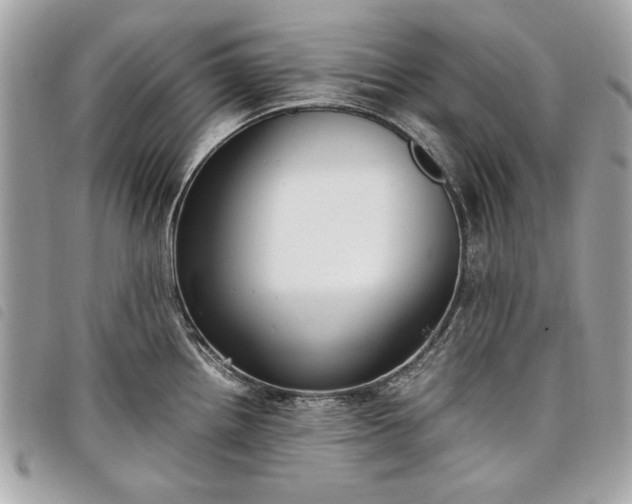 X0000098021242200804071345