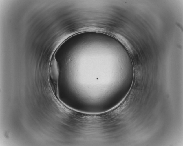 X0000098021244200804071345