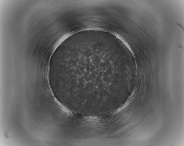 X0000098021245200804071345