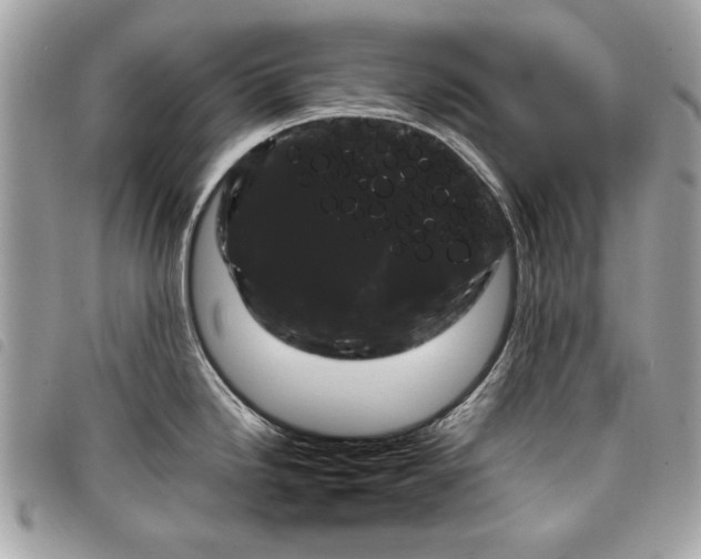 X0000098021246200804071345