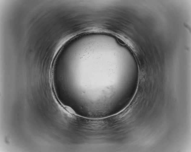 X0000098021247200804071345