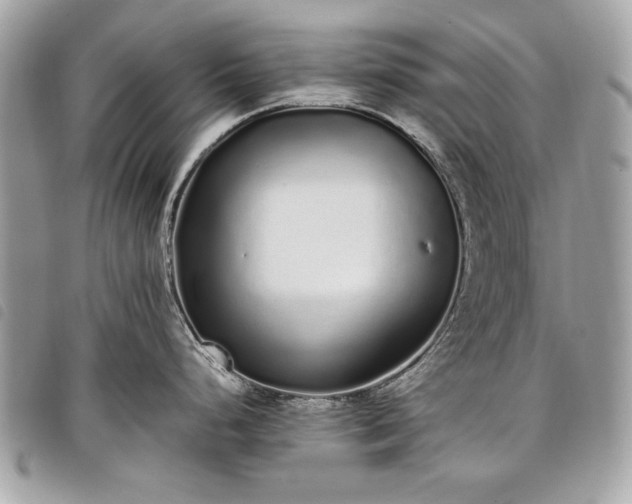 X0000098021248200804071345