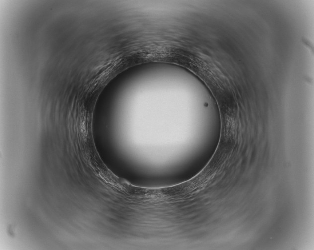 X0000098021250200804071345