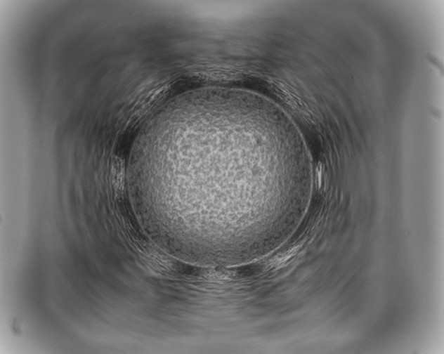 X0000098021251200804071345