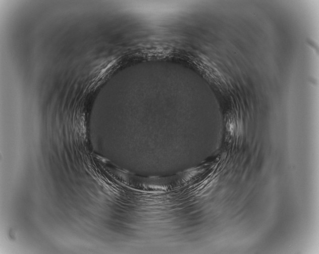 X0000098021252200804071345