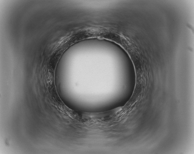 X0000098021253200804071345