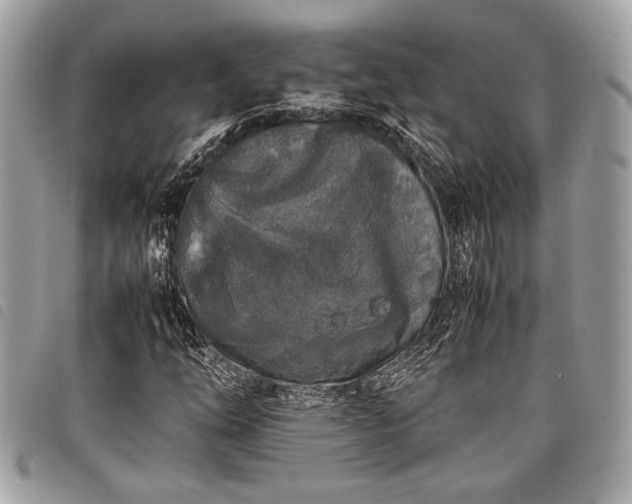 X0000098021254200804071345