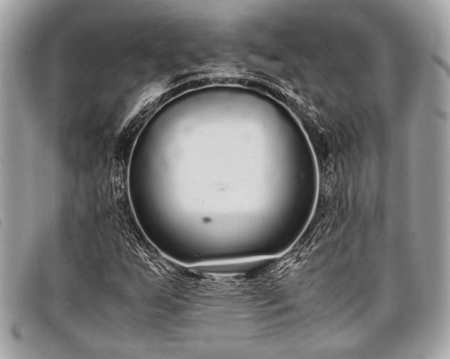 X0000098021255200804071345