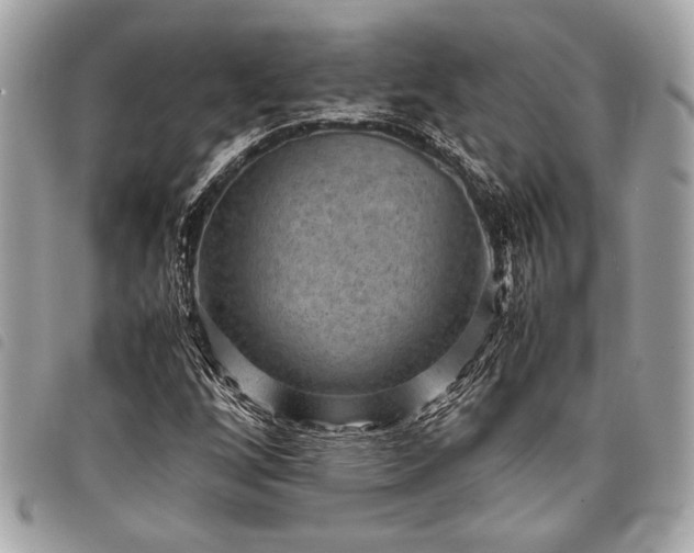 X0000098021256200804071345