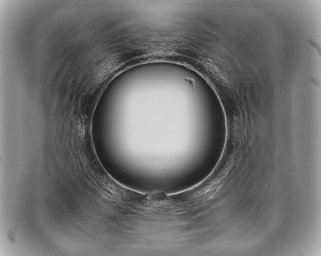 X0000098021257200804071344