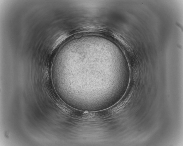 X0000098021259200804071344