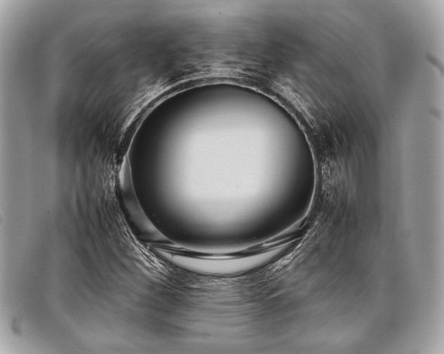 X0000098021260200804071344