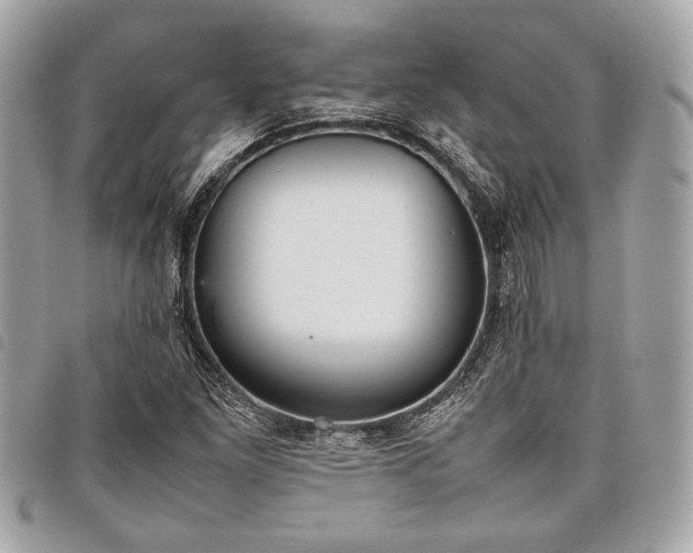 X0000098021261200804071344