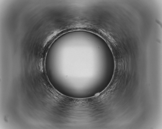 X0000098021262200804071344