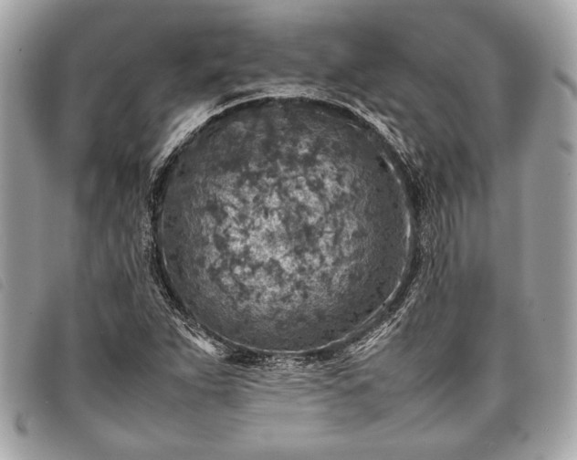 X0000098021263200804071344